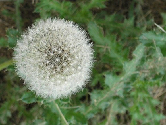 Artzzle Weather Feature