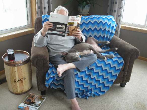 Artzzle feature, Hubs and Gracie