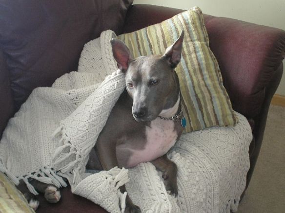 Gracie on Artzzle Website