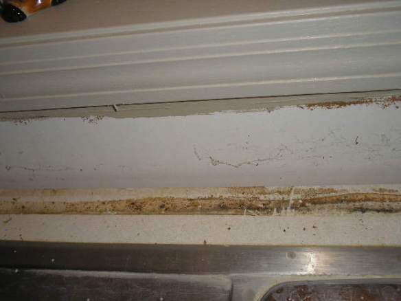 Artzzle Backsplash Feature