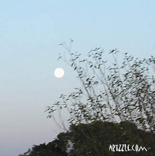 Artzzle COUNTRY LIVING Feature