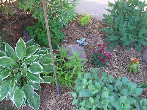 Artzzle Weather Feature