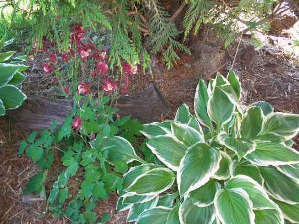 Artzzle Weather Feature