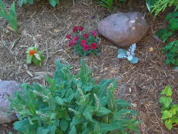 Artzzle Weather Feature