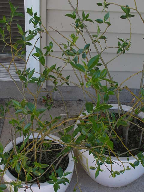 Artzzle Weather Feaeture