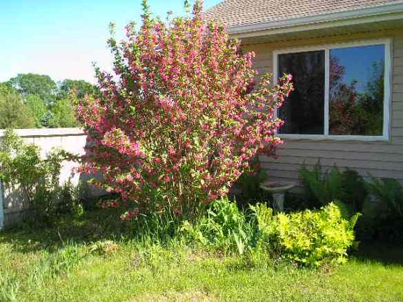 Artzzle Weather Feature