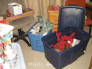 Toilet Paper & One Big Mess