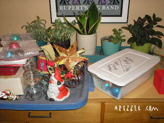 Toilet Paper & One Ugly Mess